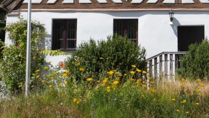Bild: no
Die beiden Fenster im Erdgeschoss des alten Rathauses (links neben der Eingangstür), gehören zu den Räumen, in die am 1. August ein Pflege- und Betreuungsdienst eingezogen ist.