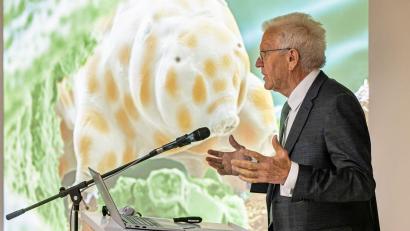 Bild: Philipp von Ditfurth/dpa
Winzig und doch bärenstark: Die neu entdeckte Bärtierchenart „Ramazzottius kretschmanni“.