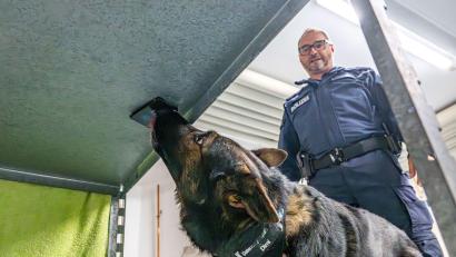 Bild: Armin Weigel/dpa
Polizeihund Dimi ist auf Datenträger spezialisiert. Hier findet er eine Festplatte. Dimi ist im Team unterwegs mit seinem Polizeihundeführer Ralf Strasser-Moraras.