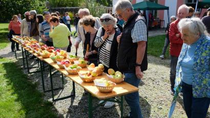 Bild: do
Der Obst- und Gartenbauverein informierte mit unzähligen Praxisbeispielen über die vielfältigen Möglichkeiten, eine gute Sortenwahl zu treffen.
