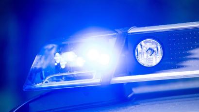 Bild: Lino Mirgeler/dpa
Laut Polizei hatte ein Verkehrsteilnehmer die entlaufenen Kühe bei der Polizei gemeldet. (Symbolbild)