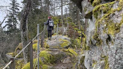 Bild: Maximilian Hohlheimer
Die Felsformation "Steinerne Wand" auf dem Schwarzwihrberg ist ein natürliches Phänomen.