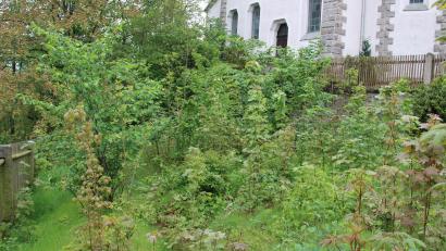 Bild: prh
Wenn die Nutzungsverhältnisse an dem gemeindlichen Grundstück neben der evangelischen Kirche St. Erhard geklärt sind, kann der Obst- und Gartenbauverein Wildenau das Grundstück pachten. Darauf entstehen soll ein Mitmachgarten für alle Generationen.