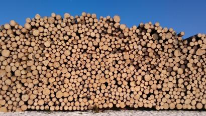 Symbolbild: dob
Unbekannte Täter entwenden 18 Ster Holz von einem Lagerplatz in Kastl. Die Polizei ermittelt und sucht Zeugen.