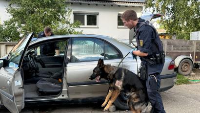 Bild: Nico Pointner/dpa
Ein Polizist durchsucht ein Fahrzeug mit einem Hund.