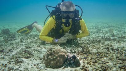 Bild: Markus Strobel/Tango Film Gmbh/ZDF/dpa
Hannes Jaenicke beim Tauchen in Indonesien mit einer Großen Blauen Krake (Day Octopus) im Vordergrund.