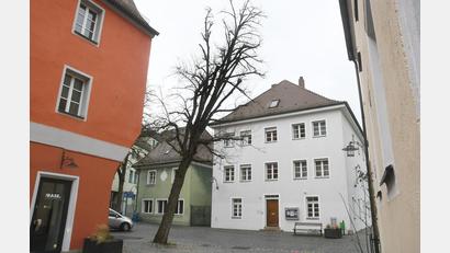 Bild: Gabi Schönberger
Am Pfarrplatz in der Weidener Altstadt stand diese Akazie. Sie wurde inzwischen gefällt und nicht ersetzt. Die Grünen wollen, dass im Haushalt der Stadt Geld für Neupflanzungen eingeplant wird.