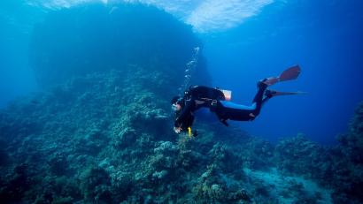 Bild: Creativ-Action.de
Tief unten im Meer ist Unterwasserfotograf Peter Stiewing in seinem Element. Sobald er abtaucht, vergisst er den Alltag, der oben ansonsten sein Leben bestimmt.