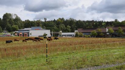 Bild: fz
Im Vordergrund das Heilpädagogische Zentrum. Oberhalb, noch hinter dem Wald, liegt das relativ kleine Areal, das für den Regionalplan "Windenergie" gemeldet worden ist.
