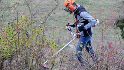 Symbolbild: Hirsch
Der Landschaftspflegeverband hat das KULAP-Programm "Erneuerung von Hecken und Feldgehölzen" gestartet.