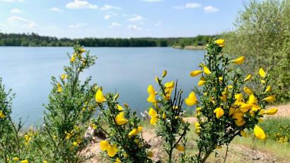 Archivbild: Gabi Schönberger
Das Projekt "NEW Seenland" am Dießfurter Freizeitsee stockt. Investoren sind interessiert, aber es gibt ein Anbindungsproblem und hohe Kosten für die Erschließung.