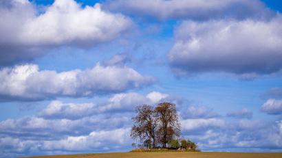 Bild: Jens Büttner/dpa
Der Herbst ist da