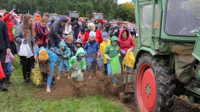 Archivbild: kro
Beim Kartoffelfest in Bad Neualbenreuth macht auch das Kartoffelklauben Spaß.