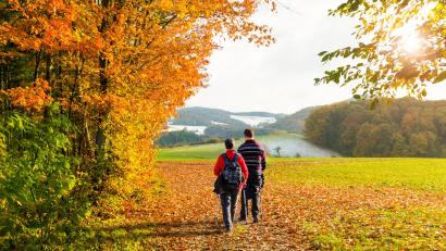 Symbolbild: Elsa Becke – stock.adobe.com
Der Herbst ist nicht nur grau, sondern eigentlich ganz schön bunt.