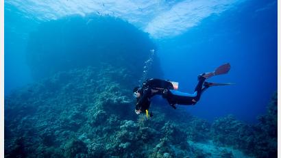 Bild: Creativ-Action.de
Tief unten im Meer ist Unterwasserfotograf Peter Stiewing in seinem Element. Sobald er abtaucht, vergisst er den Alltag, der oben ansonsten sein Leben bestimmt.