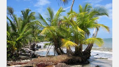 Bild: picture alliance / dpa
Der Fund zweier Leichen auf dem Grundstück eines deutschen Paares in Costa Rica gibt Rätsel auf. (Archivbild)