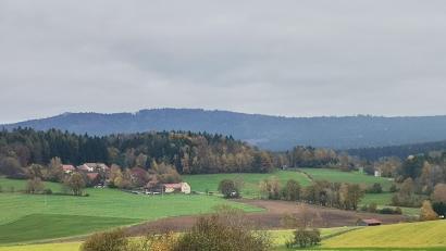 Bild: amö
Im zusammenhängenden Waldgebiet des Frauensteins, östlich von Winklarn, mit seinen Trinkwasserquellen sollte der Windpark mit zehn Windrädern entstehen. Das ist nun wohl vom Tisch.
