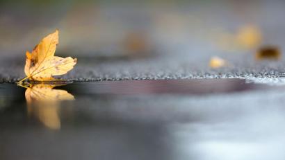 Bild: Thomas Warnack/dpa
Noch hält sich die herbstliche Zweiteilung beim Wetter in Deutschland. (Archivbild)