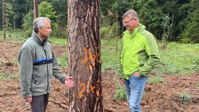 Bild: Armin Hofbauer/AELF Regensburg-Schwandorf
Revierförster Reinhold Weigert und Waldbesitzer Markus Liebl auf dem Waldstück, in dem bald klimaangepasste Baumarten gepflanzt werden sollen.