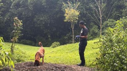 Bild: ---/OIJ Costa Rica/dpa
Die Ermittler entdeckten die Leichen mit Hilfe eines Spürhunds.