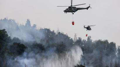 Archivbild: Robert Michael/dpa
Hubschrauber kamen 2022 bei dem Waldbrand im Grenzland zwischen Sachsen und Tschechien zum Einsatz.
