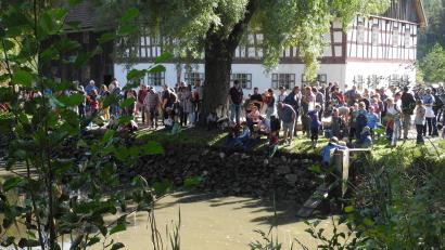 Bild: Anton Kraus/exb
Im Freilandmuseum steht am Sonntag, 12. Oktober, das traditionelle Abfischen des Mühlenteichs an.