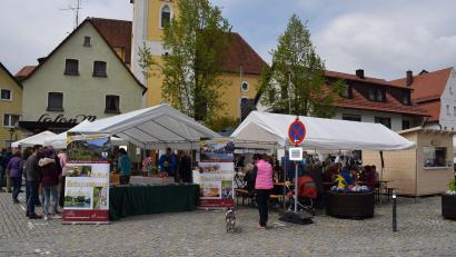 Bild: hdk
Viele Händler werden am Markt der Genüsse ihre Waren am Marktplatz von Königstein anbieten