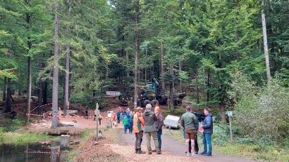 Bild: Iris Franz/Bayerische Staatsforsten
Das Motorsägen filigran und schwere Forstmaschinen Wald schonend arbeiten zeigten die Waldarbeiter zusammen mit der Firma Haneder.