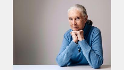 Bild: Victoria Will/Invision/AP/dpa
Die berühmte Schimpansenforscherin Jane Goodall ist im Alter von 91 Jahren gestorben. (Archivbild)