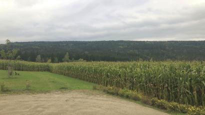 Bild: wro
Im Teichelberg könnten einmal Windräder stehen. Die Größe der Fläche ist bei Bürgerinitiative deutlich umstritten.