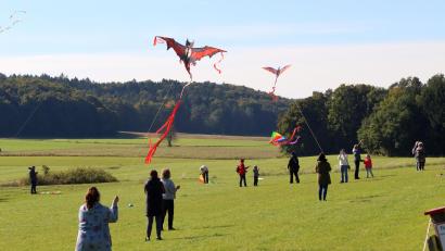 Bild: mfh
Große, kleine und manch komische Vögel tummelten sich am Freitag auf dem Flugfeld der Luftsportgruppe Sulzbach-Rosenberg in Fichtelbrunn.