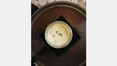 Bild: David Zilber/dpa
Joghurt-Rezept einmal anders: Man nehme vier Ameisen...