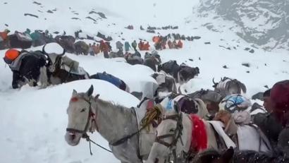 Bild: Lingsuiye/Xinhua/dpa
Ochsen und Pferde wurden bei der Suche nach den Wanderern eingesetzt.