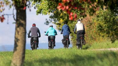 Symbolbild: Thomas Warnack/dpa
Viele Radfahrer nutzen schöne Herbsttage für Touren. Sie können sich in der neuen Radkarte für das Oberpfälzer Hügelland inspirieren lassen.