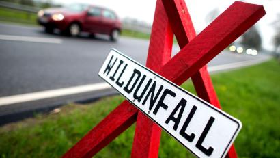 Symbolbild: Hauke-Christian Dittrich/dpa
Bei Greßmühle hat es einen Wildunfall gegeben: Ein Rehbock ist hier vor einem Motorradfahrer auf die Straße gesprungen.