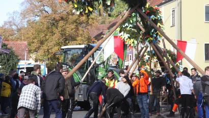 Bild: Hirsch
Zum Baumaufstellen fanden sich am Samstag wieder zahlreiche Helfer auf dem Fronberger Dorfplatz ein.