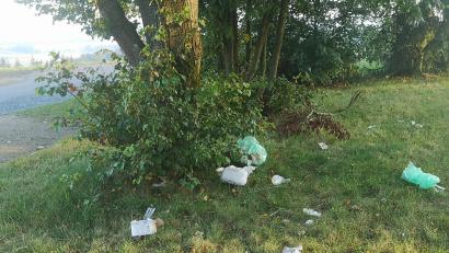 Symbolbild: lnz
Müll am Straßenrand ist ganzjährig eine unschöne Erscheinung. Das Straßenbauamt hat bereits sporadisch Asylbewerber eingesetzt, die sich hier bei der Reinigung einbringen können. Für gemeinnützige Arbeiten stehen auch andere Betätigungsfelder offen.