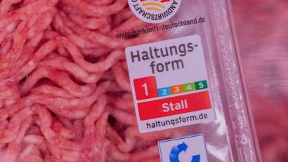 Bild: Rolf Vennenbernd/dpa
Bei Haltungsform 1 gelten die gesetzlichen Mindestanforderungen. (Archivbild)