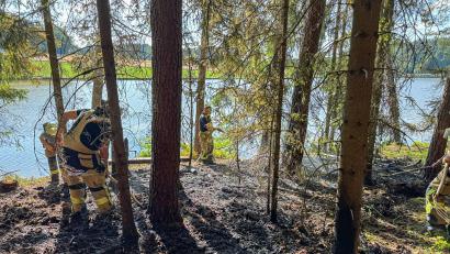 Bild: Klaus Schicker
Mit Hacken bearbeiteten die Feuerwehrleute den Waldboden, um letzte Glutreste einzudämmen.