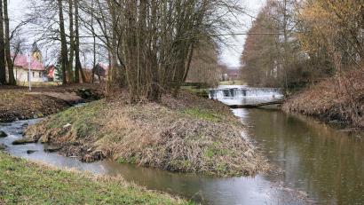 Archivbild: do
Die Creußen bei Tremmersdorf. Auch an dieser Stelle war ein ökologischer Umbau geplant.