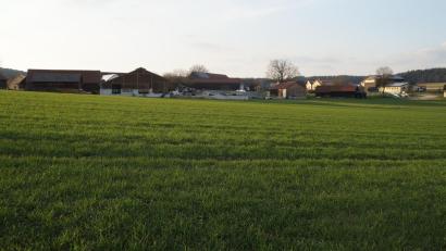 Archivbild: wel
Für das geplante Gewerbegebiet bei Rottendorf muss der Flächennutzungsplan mit Landschaftsplan geändert werden.