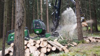 Symbolbild: dko
Der Wald soll sich verjüngen. Dazu wird an vielen Stellen ausgelichtet. Außerdem muss Käferholz aus dem Wald entfernt werden.