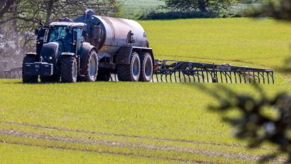 Bild: Jens Büttner/dpa
Das Bundesverwaltungsgericht Leipzig prüft, ob die bayerische Düngeverordnung Landwirte zu stark einschränkt. (Archivbild)