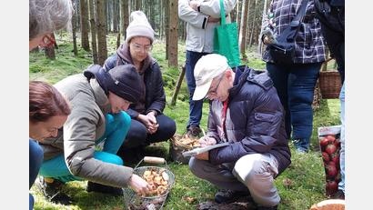 Bild: Dorina Kett
Pilzsachverständiger Stefan Hartwig bei der Überprüfung verschiedener Pilze.