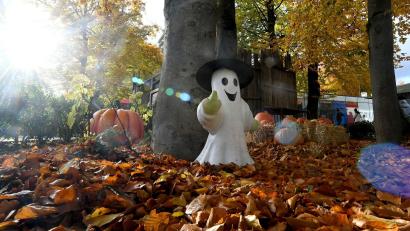 Bild: Felix Hörhager/dpa
Halloween-Atmosphäre in München: Bavaria Filmstadt verwandelt sich zur Spooky Tour