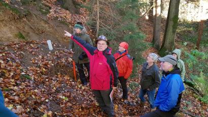 Bild: Friedrich Grüner
Bei der Exkursion im Gütting-Wald zeigt Gerhard Lehrberger auf historische Abbauspuren im Wald. Auch hier hat er vor über 40 Jahren als junger Student nach Gold gesucht.