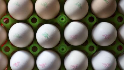 Bild: Karl-Josef Hildenbrand/dpa
Eier könnten durch die Vogelgrippe teurer werden. (Symbolbild)