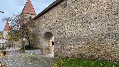 Bild: Petra Hartl
Die Amberger Stadtmauer ist "versehentlich" zum Wahlkampfthema geworden. Das hat sie nicht verdient.