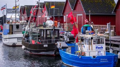 Bild: Jens Büttner/dpa
Trotz Sorgen um Dorsch und Hering: Für die deutschen Ostsee-Fischer bleibt fast alles beim Alten. (Symbolbild)