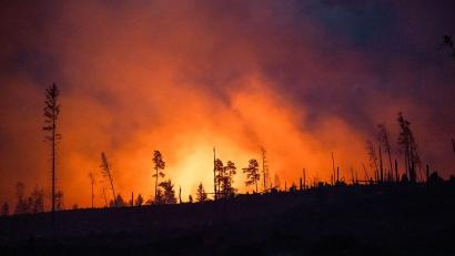 Bild: Daniel Vogl/dpa
Waldbrände fachen mit ihren Emissionen die Erderwärmung zusätzlich an. (Illustraiton)